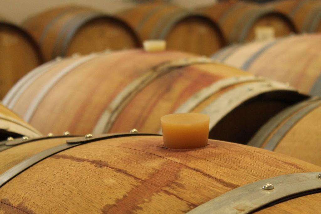 Domaine Maison Dodo Lamonzie-Saint-Martin Værelse billede